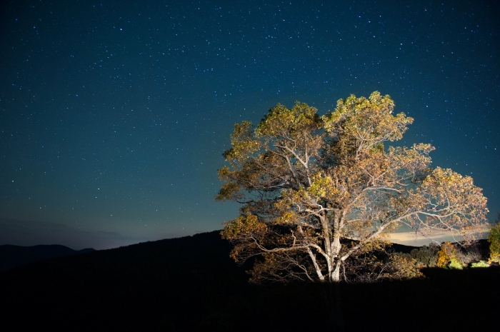 Starry Sky over Shenandoah National Park